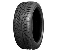 NEUMATICOS DE INVIERNO EVERGREEN 205/50 R17 89H EW66 WINTER