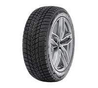 Neumáticos de Invierno Radar 205/55 R17 95V DIMAX ALPINE XL M+S
