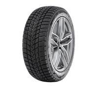Neumáticos de Invierno Radar 225/40 R18 92V DIMAX ALPINE XL M+S
