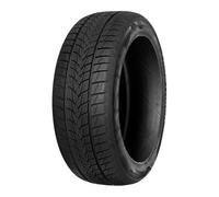 NEUMATICOS DE INVIERNO TRIANGLE 225/55 R19 103V EFFEXWINTER TW421