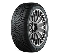 Neumáticos de Toda estación 225/55 R17C 109/107H 8PR Fortuna ECOPLUS2 VAN 4S M+S
