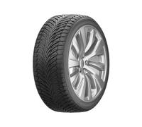 Neumáticos de Toda estación Fortune 165/60 R14 79H FITCLIME FSR-401 XL M+S