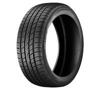 NEUMATICOS DE VERANO AUSTONE 225/65 R17 102T ATHENA SP303