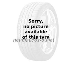 Neumáticos de verano Sunny SN028 225/55 ZR17 101W XL