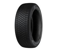 Neumáticos de Toda estación Evergreen 205/55 R17 95H ALLSEAS. EA721 M+S