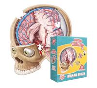 Neuro Puzzle Game - Brain Anatomy Jigsaw Puzzle, 8.86 Inches Cognitive Assembly with Learning, Educational Model Design, Science Study Tool, Learning Game for Developing Spatial Thinking Memory