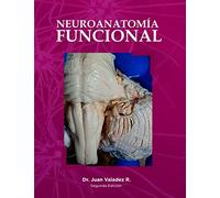 Neuroanatomía Funcional