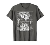 Neurociencia Regalos Arterias del Cerebro Humano Camiseta, Hombre, Asfalto, 3XL