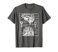 Neurociencia Regalos Arterias del Cerebro Humano Camiseta, Hombre, Asfalto, XXL