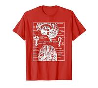 Neurociencia Regalos Arterias del Cerebro Humano Camiseta, Hombre, Rojo, S