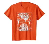 Neurociencia Regalos Arterias del Cerebro Humano Camiseta, Niños, Naranja, 12 años