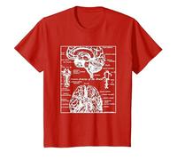 Neurociencia Regalos Arterias del Cerebro Humano Camiseta, Niños, Rojo, 2 años