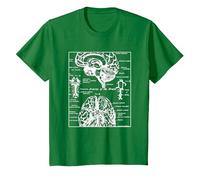 Neurociencia Regalos Arterias del Cerebro Humano Camiseta, Niños, Verde Kelly, 6 años