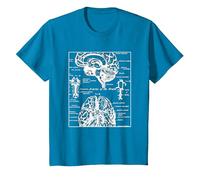 Neurociencia Regalos Arterias del Cerebro Humano Camiseta, Niños, Zafiro, 8 años