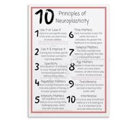 Neuroplasticity Fundamentals Poster Cognitive Science Wall Decor