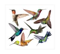 NeutypeChic Pegatinas para ventanas de pájaros, 7 unidades, pegatinas para ventanas para protección contra golpes de pájaros, pegatinas para ventana para protección contra impactos de pájaros