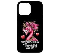 Never Forget How Flamazing You Are Flamingo Amazing Teacher Carcasa para iPhone 13 Pro Max