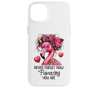 Never Forget How Flamazing You Are Flamingo Teacher Amazing Carcasa para iPhone 14 Plus