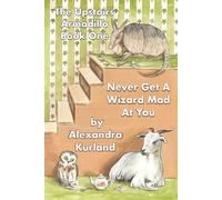 Never Get A Wizard Mad At You