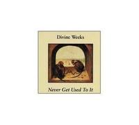 Never Get Used to It by Divine Weeks