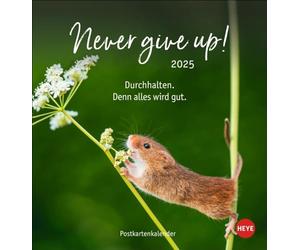 Never give up! Calendario de postales 2025: Lindos animales en un calendario fotográfico de postal con mensajes motivacionales. Pequeño calendario para colocar y colgar. (Calendario de postales Heye)