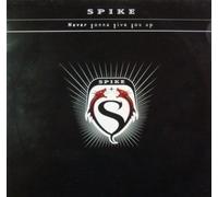 Never gonna give you up (2000) / Vinyl Maxi Single [Vinyl 12'']