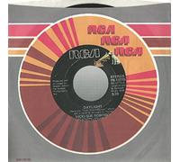 Never Gonna Let You Go - Vicki Sue Robinson 7" 45