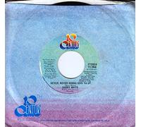 NEVER, NEVER GONNA GIVE YA UP / NO, I'M NEVER GONNA GIVE YA UP (45/7")