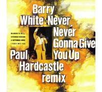 NEVER NEVER GONNA GIVE YOU UP 7" (45) UK CLUB 1987 PAUL HARDCASTLE REMIX B/W SEPTEMBER WHEN I FIRST MET YOU (JAB59) PIC SLEEVE