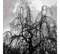 Never Were The Way She Was by Colin Stetson and Sarah Neufeld (2015-08-03)