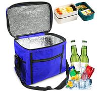 Nevera Bolsa 10L, Térmica Plegable, para Picnic y Camping, Refrigeradora para Almuerzo y Playa (Azul)