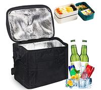 Nevera Isotermica 10L,Bolsa Térmica Plegable, para Picnic, Camping, Almuerzo, Bolsa Refrigeradora Portatil para Comida, Playa (Negro)