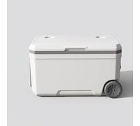 Nevera portátil con Ruedas, Doble función de refrigeración y calefacción, con 10 Bolsas de Hielo, 48 Horas de frescura, Aislamiento PP*2+PU, 3 tamaños y Colores a Elegir.(White,70L)