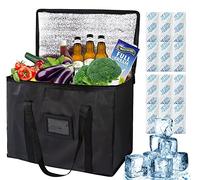 Nevera portátil grande de 20 litros, 35x26x23 cm, nevera plegable con 12 unidades de hielo, nevera portátil aislante, bolsa de pícnic, bolsa helada para transporte de alimentos (negro-XL-20 litros)