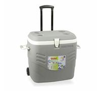 Nevera Portátil Rígida Hidalgo Premium Gris 41 L