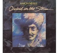 Neville, Aaron - Orchid in the Storm [Musikkassette]