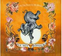 New Amsterdams - At the Foot of My Rival