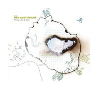 New Amsterdams - Story Like a Scar