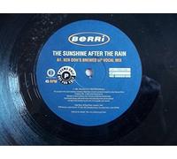 New Atlantic - Sunshine After the Rain [12 [Vinyl LP]