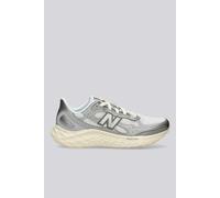 Zapatillas New Balance Fresh Foam Arishi v4 TIRALUX Plateado 40