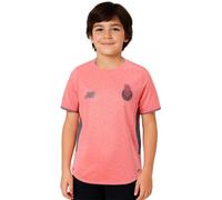 New Balance - Camiseta oficial FC Porto Segunda Equipación 2025-2026 Niño, Unisex, Pink, L