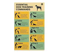 New Dog Owner Guide Poster Basic Training Commands Chart with Hand Signals Visual Reference for Puppy Obedience Home Decor(Unframed,16x24inch(40x60cm))