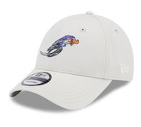 New Era 9Forty Looney Tunes Gorra - Road Runner Stone, gris, Talla única
