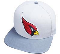 New Era Arizona Cardinals NFL Gris Storm 9fifty 950 Snapback Cap Limited Edición