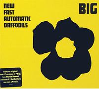 New Fast Automatic D - Big (5 Tracks)