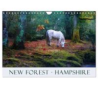 New Forest Hampshire (Wall Calendar 2026 DIN A4 landscape), CALVENDO 12 Month Wall Calendar: The New Forest in Hampshire with its heath and wild ponies is one of the most beautiful areas in England