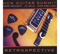New Guitar Summit - Retrospective