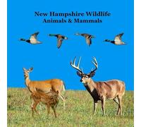 New Hampshire Animals and Mammals Kids Wildlife Book: Great Wildlife Book about Animals and Mammals in New Hampshire
