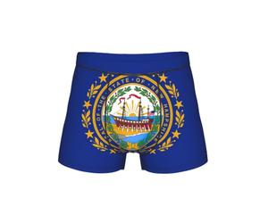 New Hampshire State Flag Print - Calzoncillos tipo bóxer clásicos para hombre, ropa interior elástica, Negro, 4XL