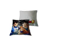 NEW IMPORT Cojin 35x35cm de Dragon Ball